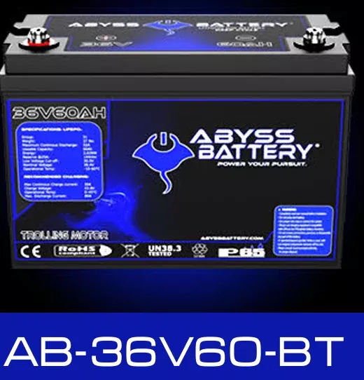 ABYSS 36V BATTERY - Sea Swivel