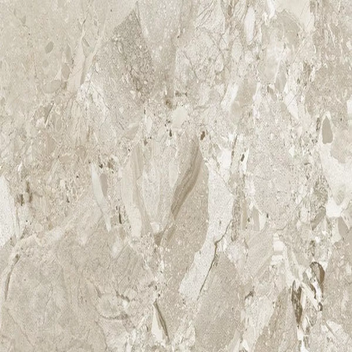 - Ceppo de Seville White - 24X48