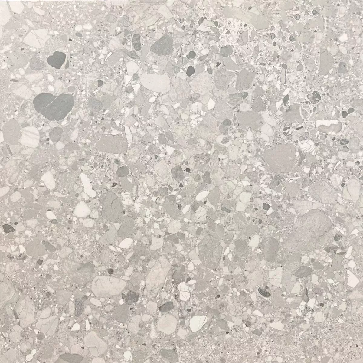 - Clemon Silver - 24X24