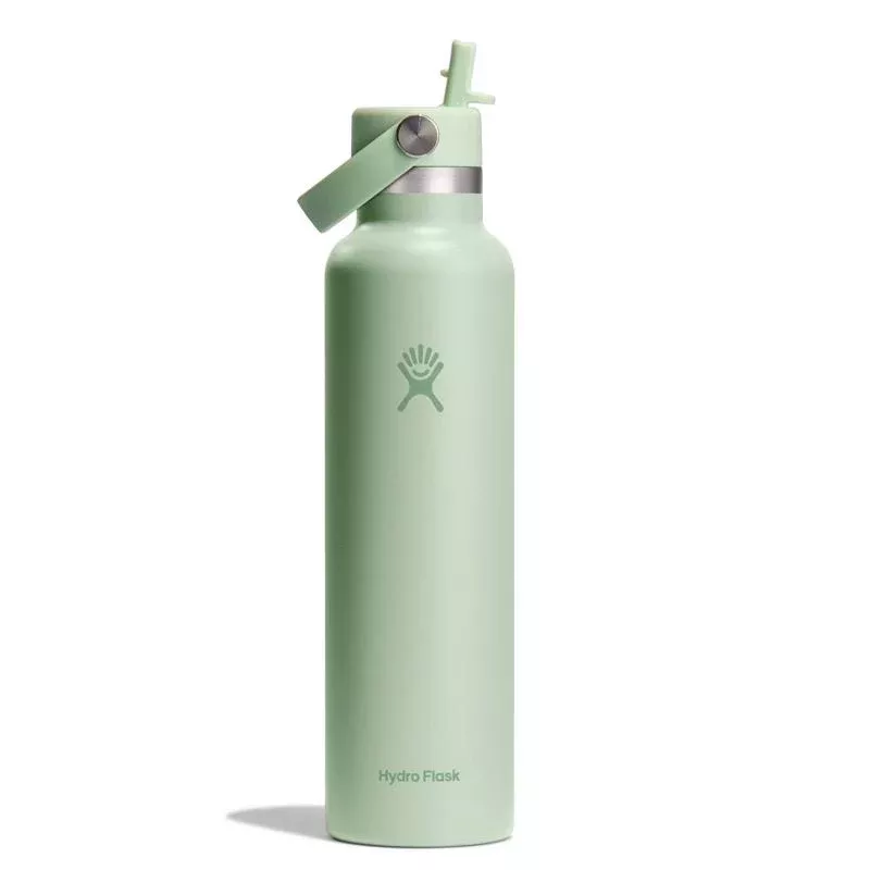 Hydroflask 24 fl. oz. Aloe BPA Free Insulated Bottle