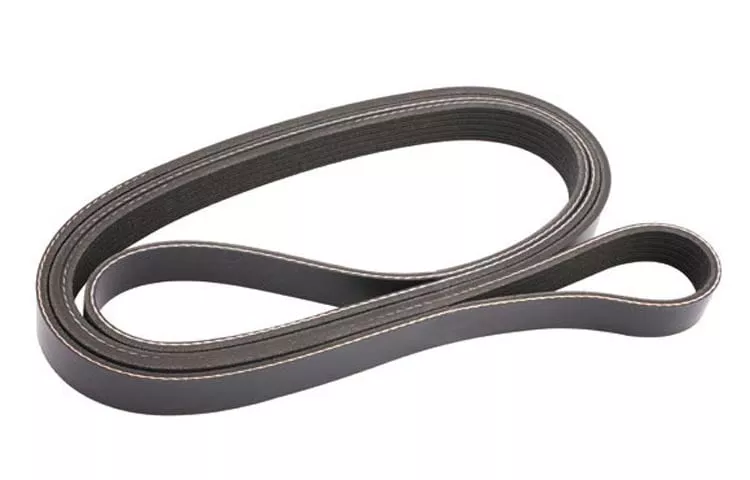 Mercury 8M0038443BELT