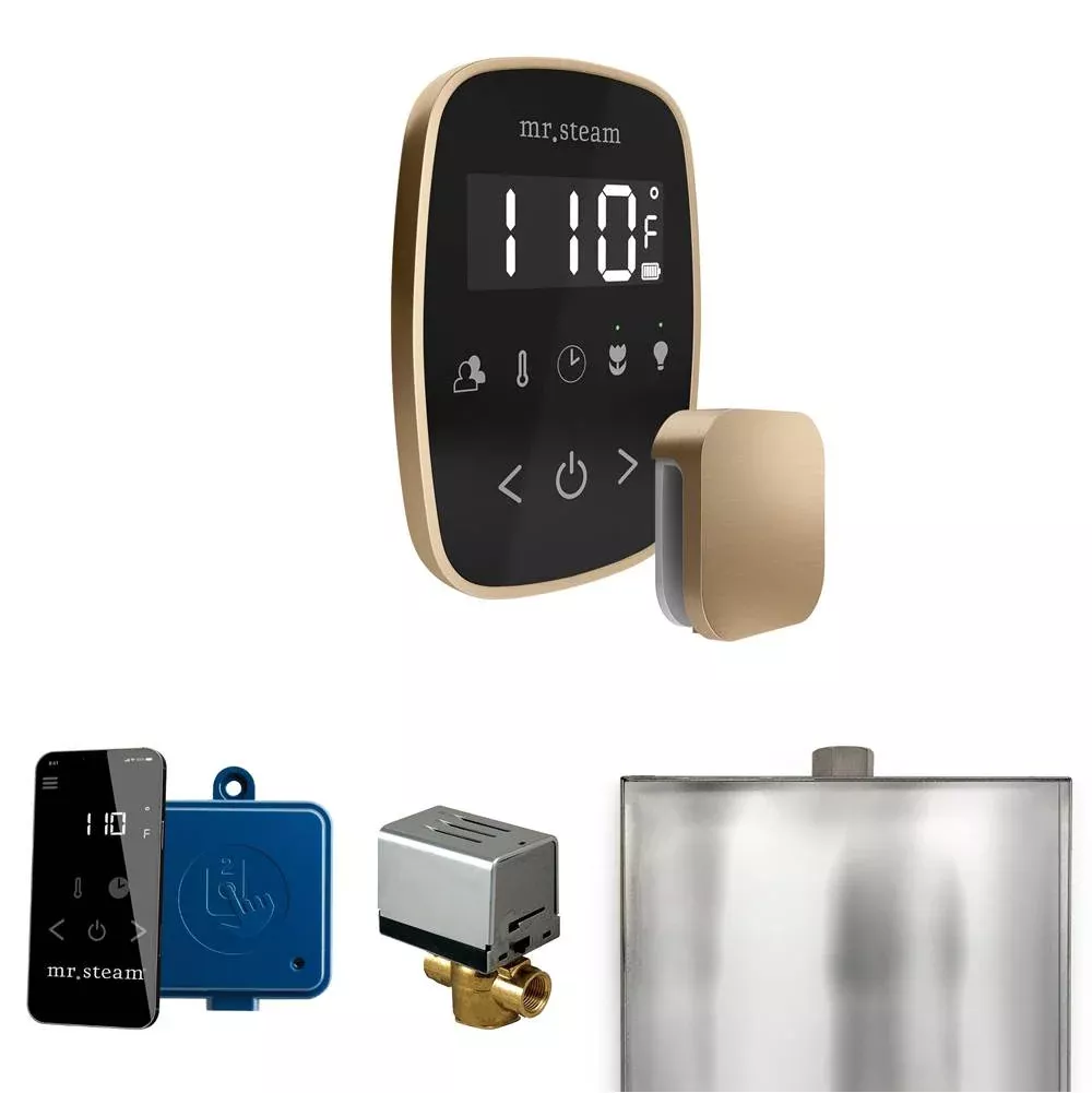 Mr. Steam ButlerFlex Steam Shower Control Package with TempoFlex Control and Steamhead