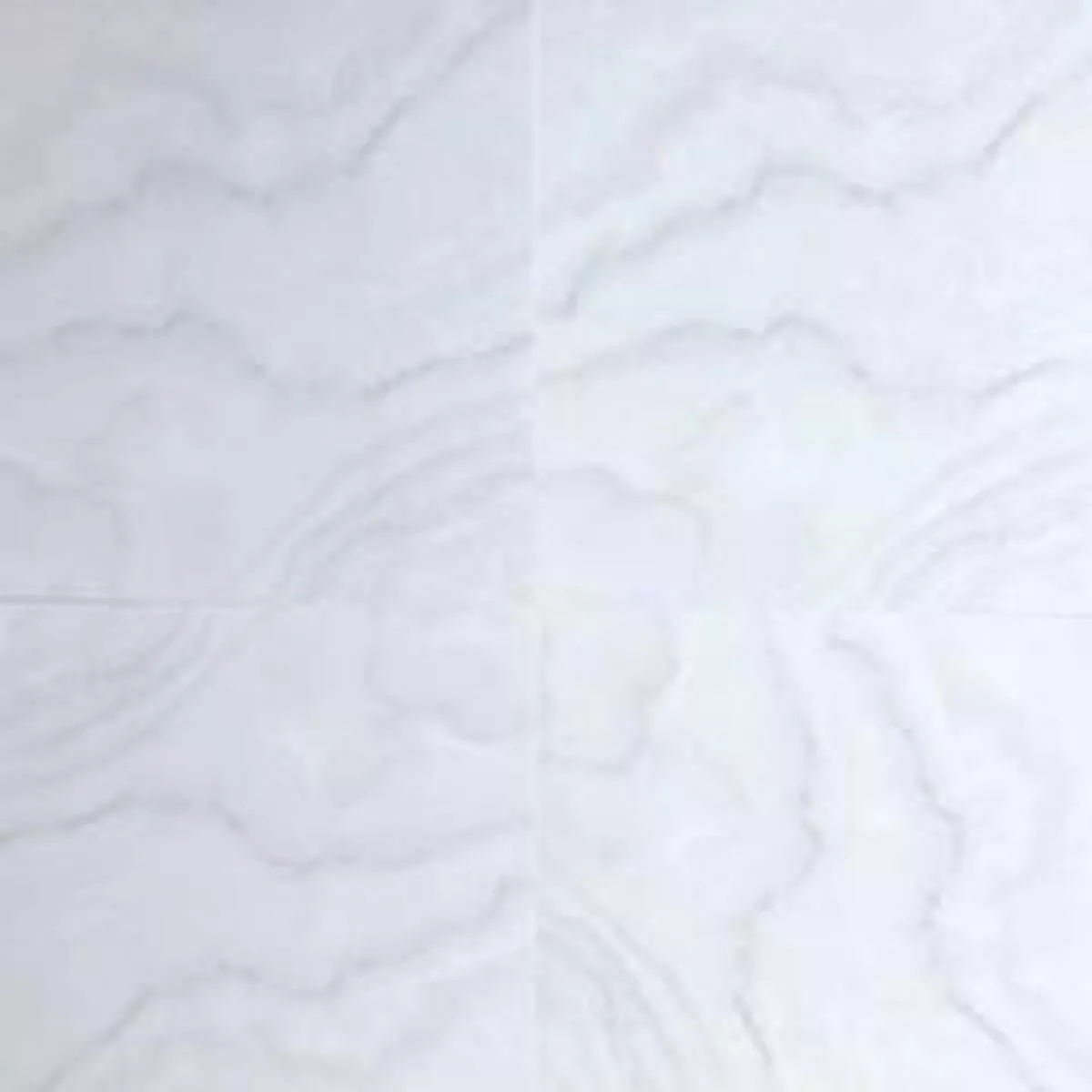 - Onyx Aspania - 12X24 / 24X24