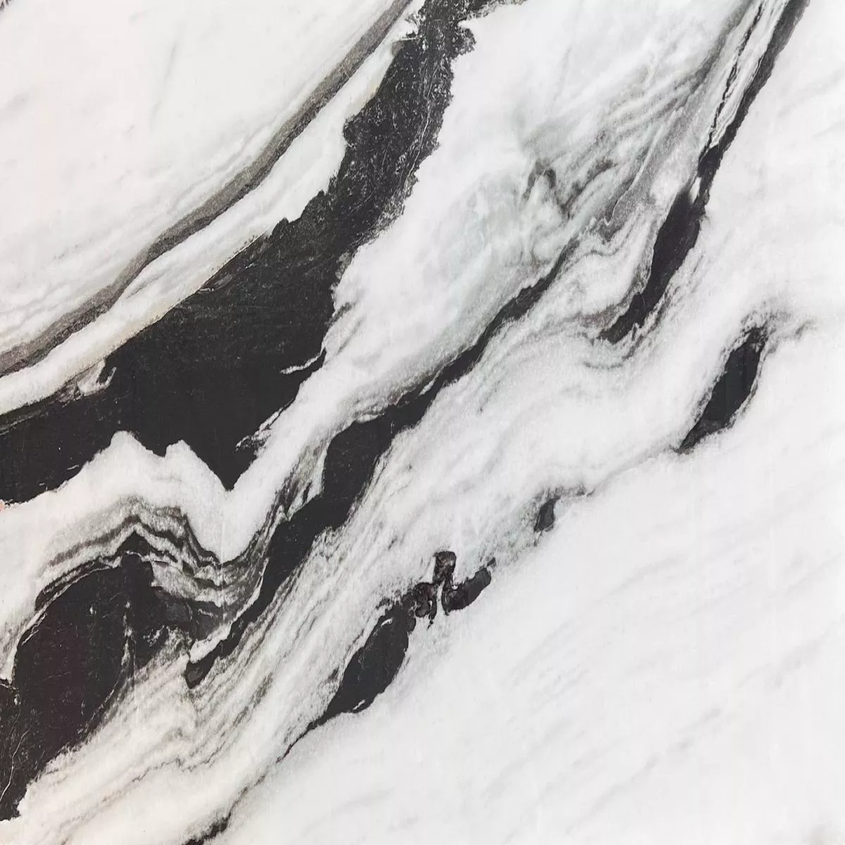 - Panda - 24X48