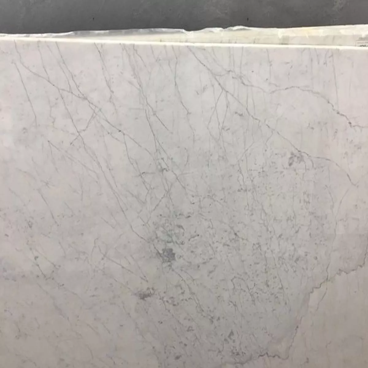 - Statuarietto - 63X97